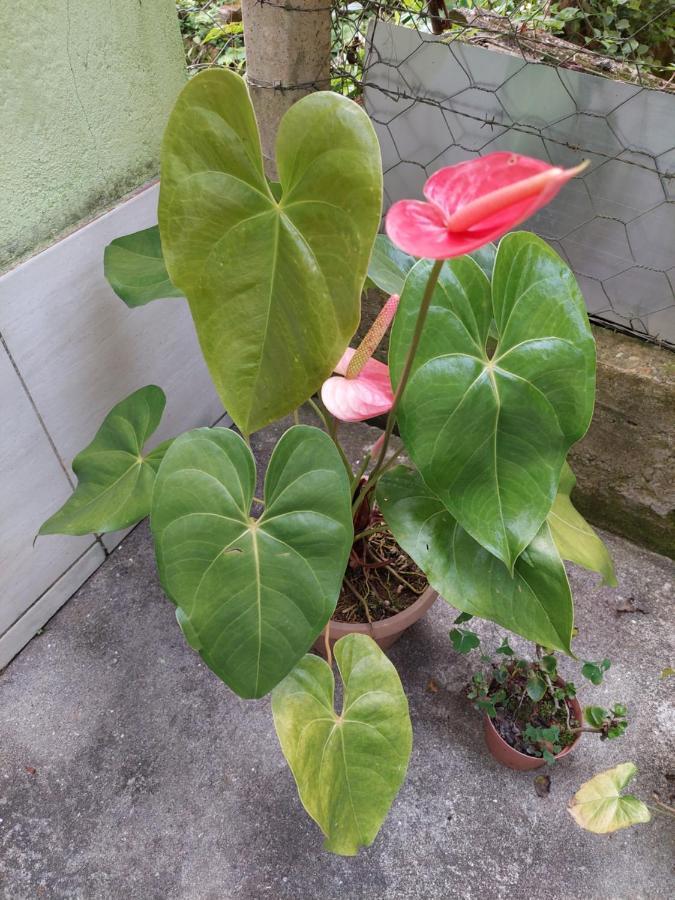 Casa Canto Verde Visconde De Maua Bagian luar foto